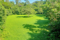 2025-12-23-Taman-Negara-Mutiara-Les-u-reki-27