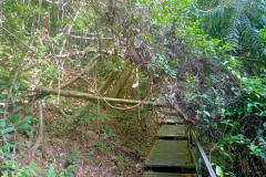 2025-12-23-Taman-Negara-Mutiara-Les-u-reki-5