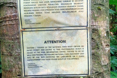 2025-12-23-Taman-Negara-Mutiara-zaprety