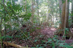 2025-12-21-Taman-Negara-park-15