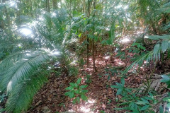 2025-12-21-Taman-Negara-park-17