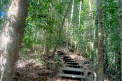 2025-12-21-Taman-Negara-park-24