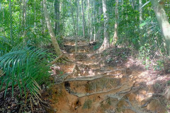 2025-12-21-Taman-Negara-park-32