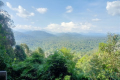 2025-12-21-Taman-Negara-park-34