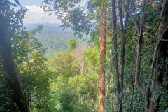 2025-12-21-Taman-Negara-park-35