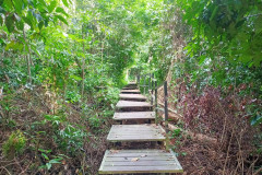 2025-12-21-Taman-Negara-park-6