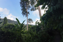 2025-12-21_22-Taman-Negara-park-10