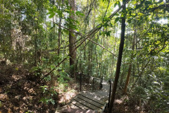 2025-12-21_22-Taman-Negara-park-5