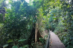 2025-12-21_22-Taman-Negara-park-6