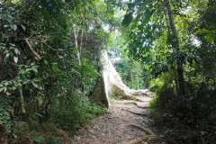 2025-12-21_22-Taman-Negara-park-7