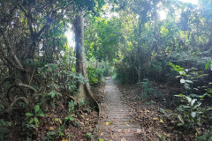 2025-12-21_22-Taman-Negara-park-9