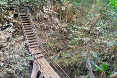 2025-12-22-Taman-Negara-Taman-Negara-mostik