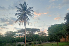 2026-01-07-11-Bagan-palma