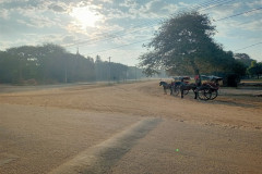 2026-01-07-11-Bagan-povozka