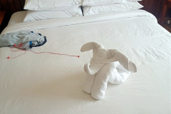 2026-01-07-11-Bagan-slon-v-otele