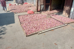 2026-01-11_13-Nyaung-U_Mandalay-luk-na-rynke