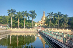 2026-01-06-Yangon-pagoda-prud-0