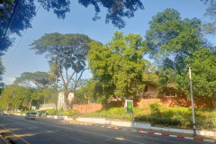 2026-01-06-Yangon-derevya