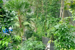 2025-12-17-Singapore-Changi-11