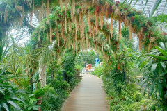 2025-12-17-Singapore-Changi-12