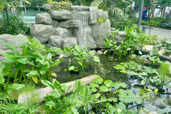 2025-12-17-Singapore-Changi-13