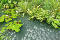 2025-12-17-Singapore-Changi-14