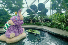 2025-12-17-Singapore-Changi-15