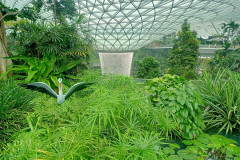 2025-12-17-Singapore-Changi-16