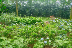 2025-12-17-Singapore-Changi-17