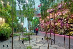 2025-12-17-Singapore-Changi-5