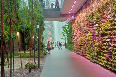 2025-12-17-Singapore-Changi-6