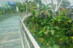 2025-12-17-Singapore-Changi-7