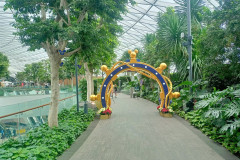 2025-12-17-Singapore-Changi-8