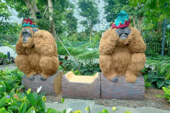 2025-12-17-Singapore-Singapur-CHangi-t1-obezyany