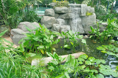 2025-12-17-Singapore-Singapur-CHangi-t1-prud