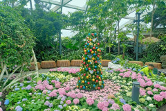 2025-12-17-Singapore-Singapur-CHangi-t1-yolka-elf