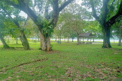 2025-12-17-Singapore-Changi-Beach-park-18