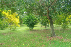 2025-12-17-Singapore-Changi-Beach-park-25