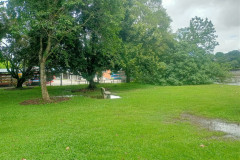 2025-12-17-Singapore-Changi-Beach-park-27