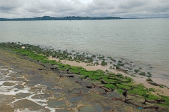 2025-12-17-Singapore-Changi-Beach-park-5