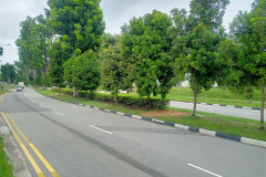 2025-12-17-Singapore-Changi-Beach-park-doroga