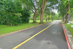 2025-12-16-Singapore-gorod-park-12