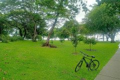 2025-12-16-Singapore-gorod-velo-v-parke