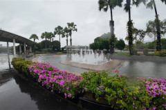 2025-12-16-Singapore-Gardens-by-the-Bay-2