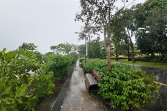 2025-12-16-Singapore-Gardens-by-the-Bay-4