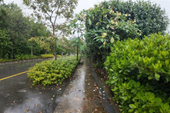 2025-12-16-Singapore-Gardens-by-the-Bay-5