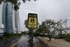 2025-12-16-Singapore-medlennyj-peshehody