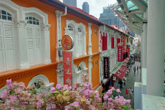 2025-12-17-Singapore-Singapur-chajnataun-3