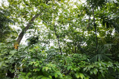 2025-12-16-Singapore-Woodlands-Waterfront-Park-3