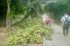 2026-01-28-Saigon-kokosy